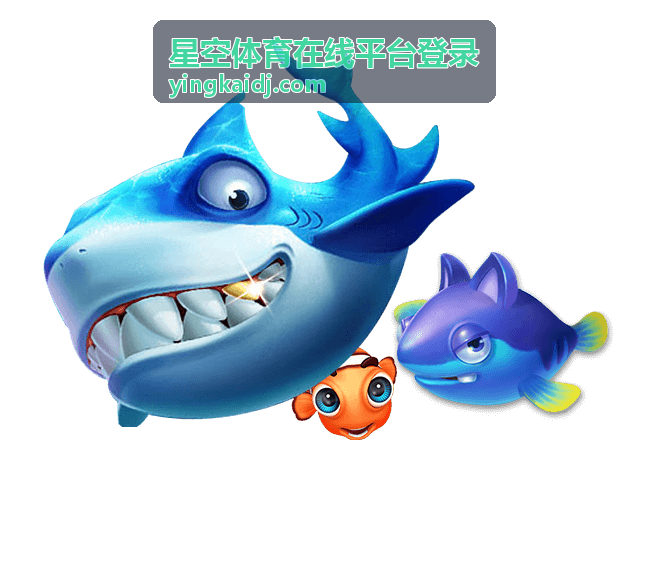 星空体育在线平台登录赛事分析